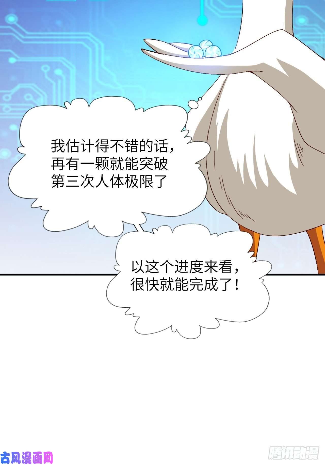 高能来袭053卤味鸭掌 了解一下