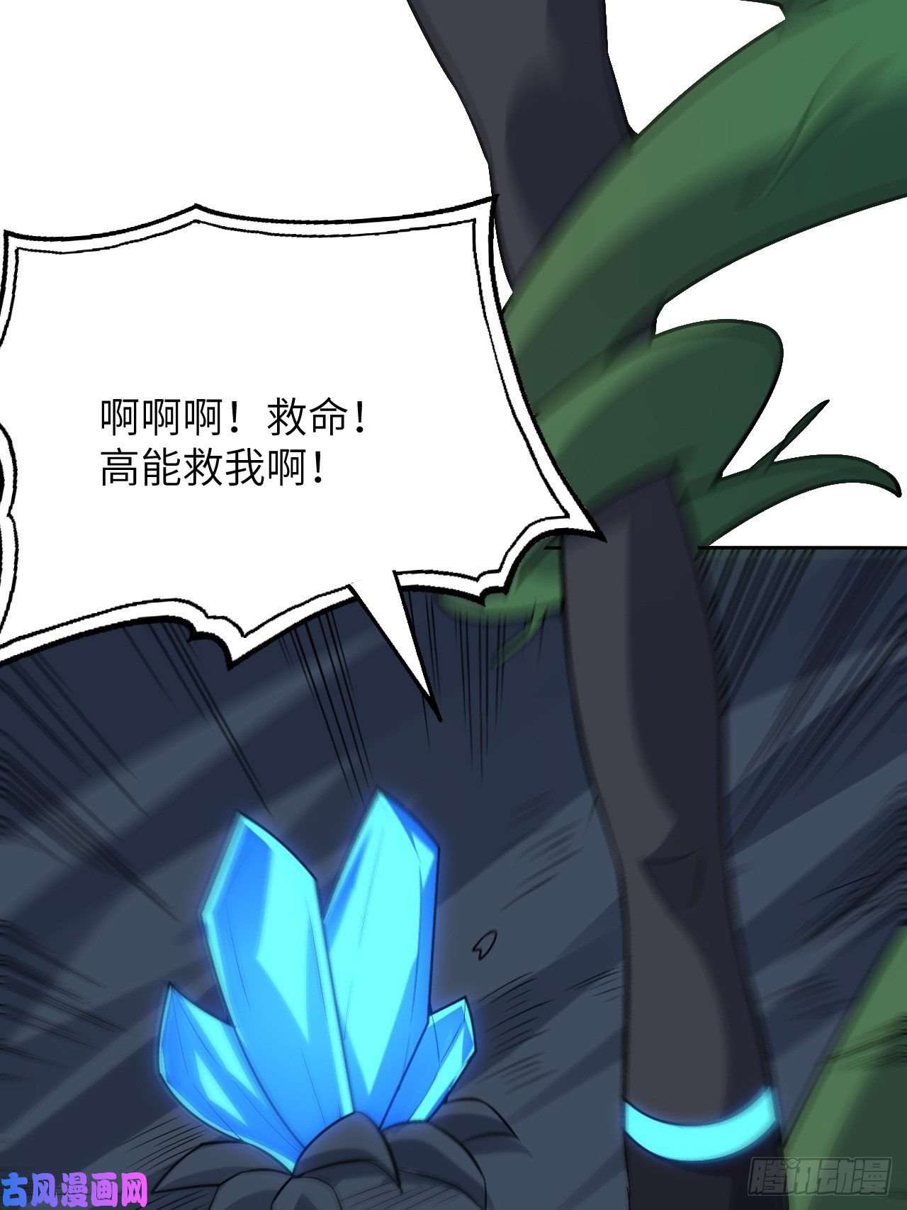 高能来袭111精灵古树