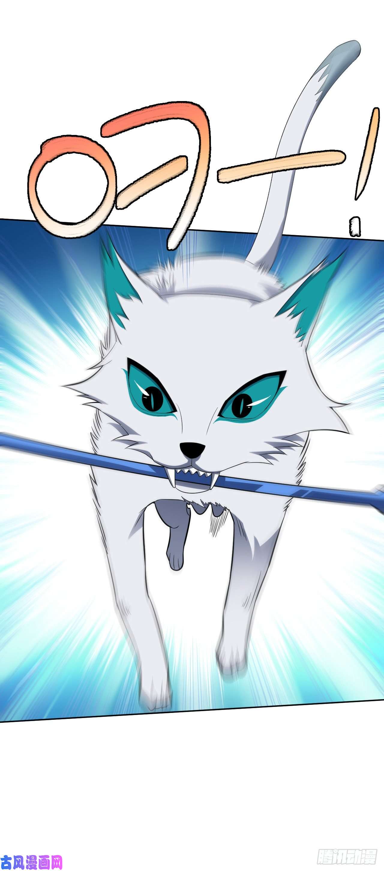 高能来袭113 七公主