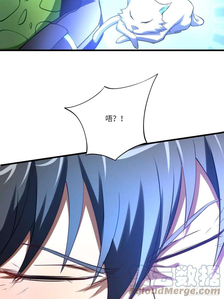 高能来袭136化形