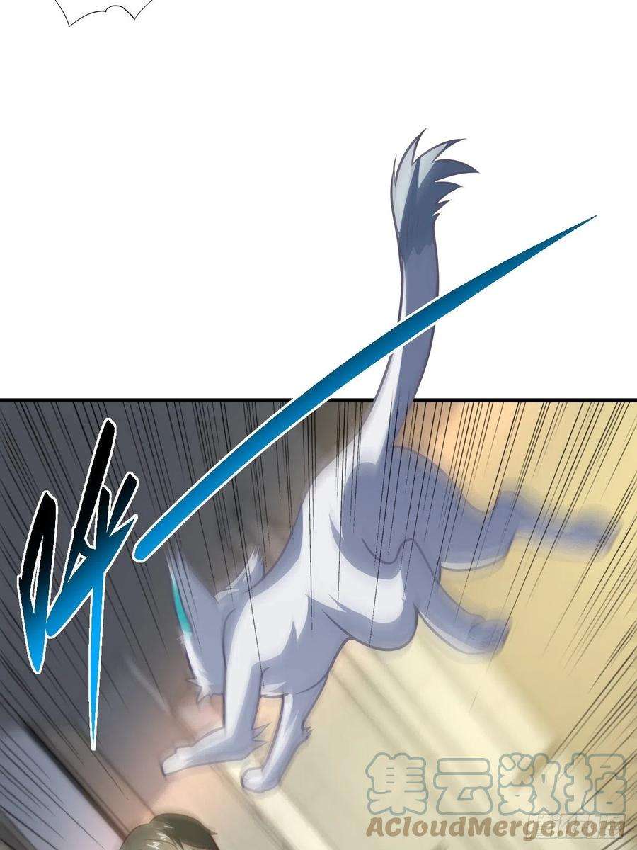 高能来袭199 哔了猫了