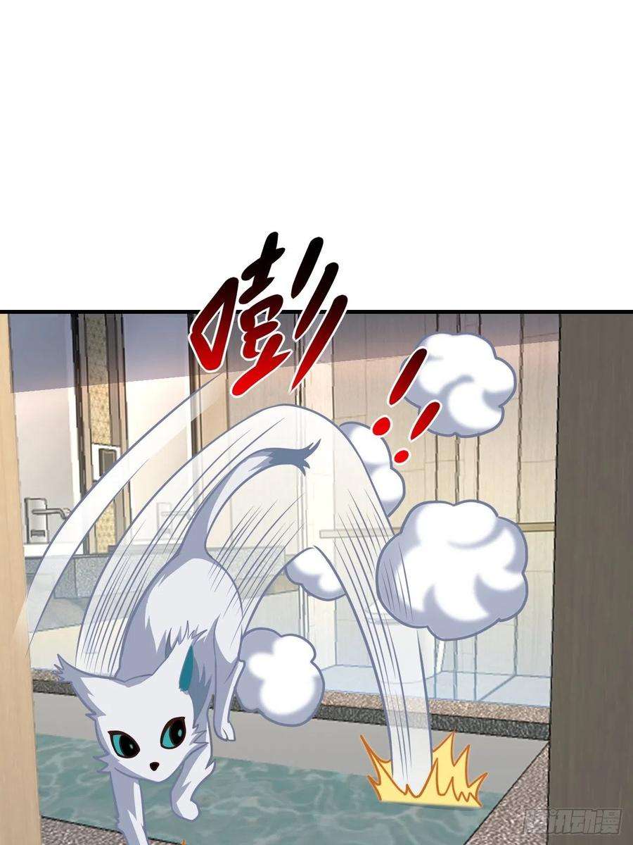 高能来袭199 哔了猫了