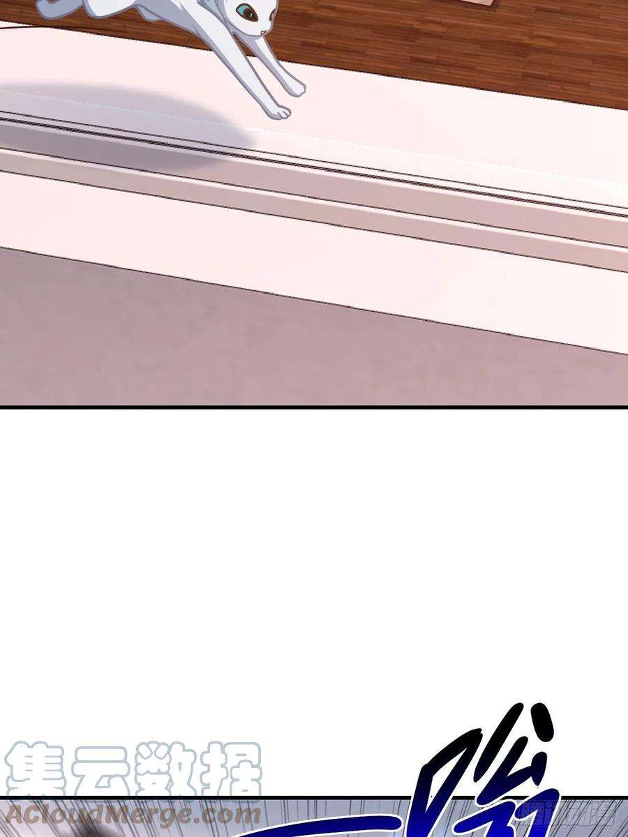 高能来袭199 哔了猫了