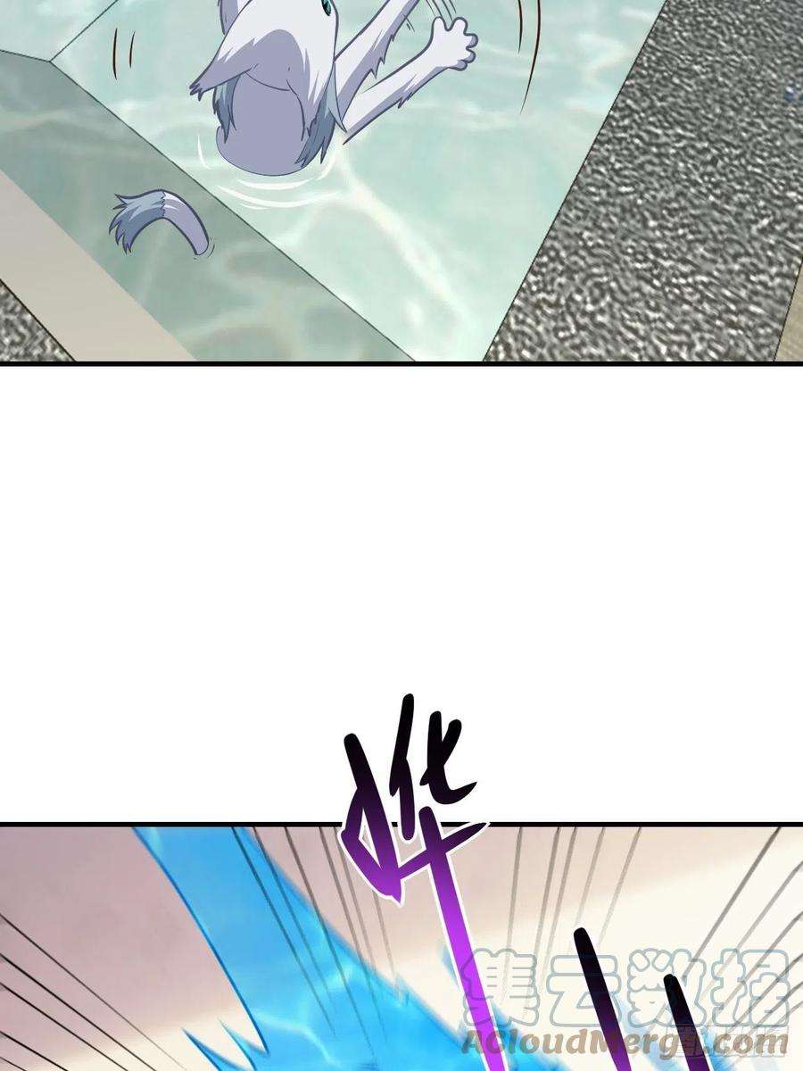 高能来袭199 哔了猫了