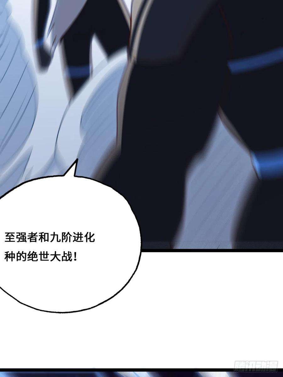 高能来袭211绝世大战