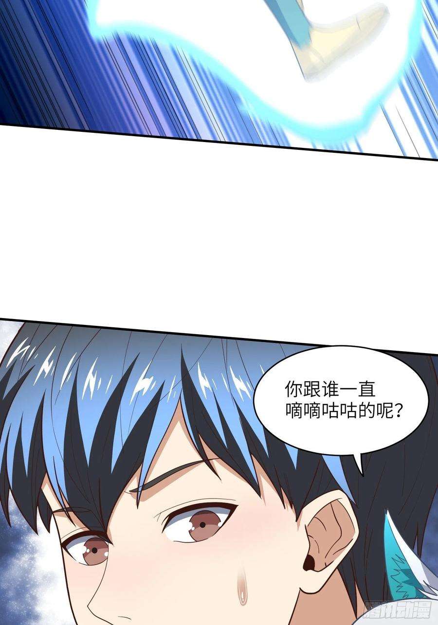 高能来袭219 四象属性