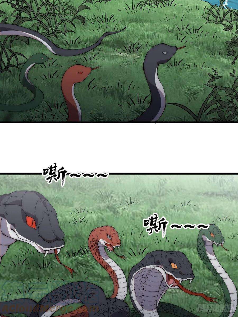 开局一座山二百六十七话：登陆蛇岛