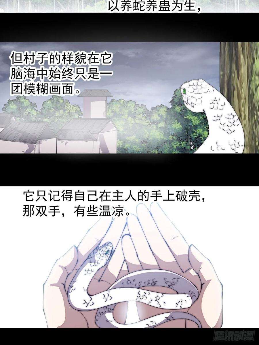 开局一座山二百七十五话：白蛇的一生