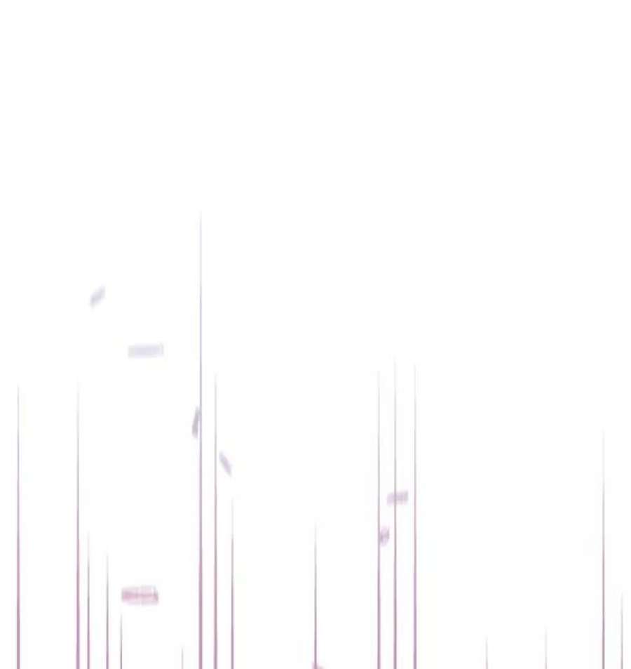 朕的皇妃是客服21话