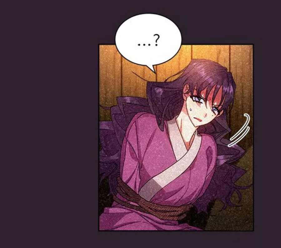 朕的皇妃是客服25话