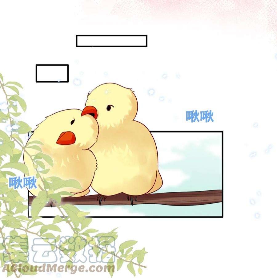 宇宙第一醋神071 有猫腻