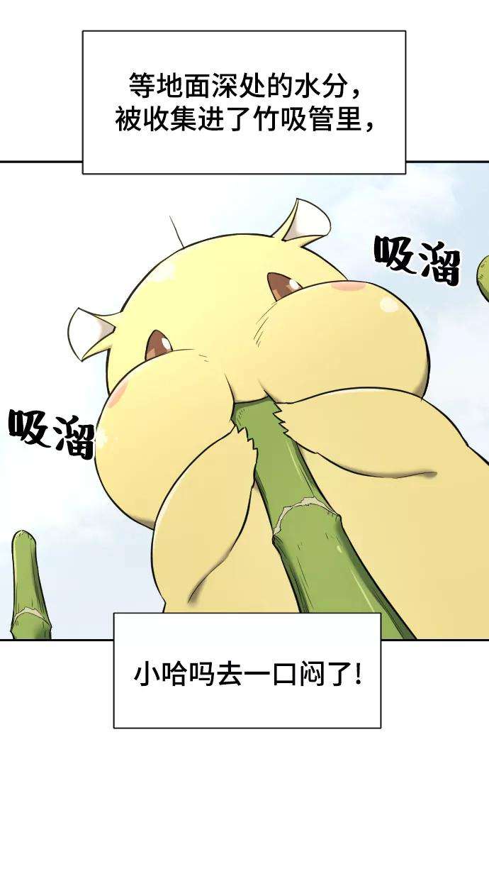 史诗级领地设计师20话