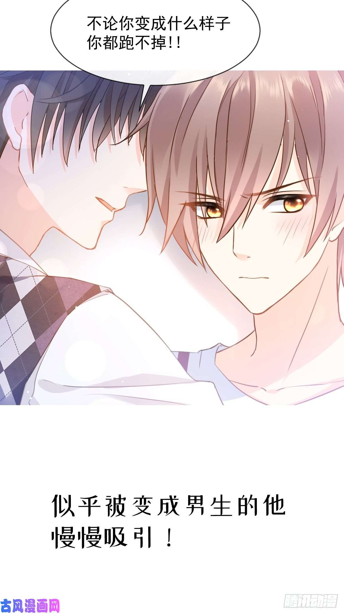 魔神的新娘007 命中注定