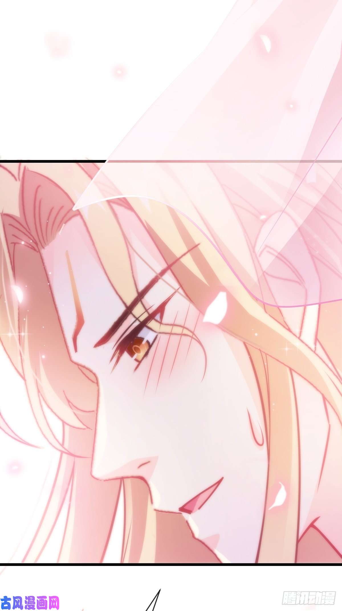 魔神的新娘068 如愿以偿