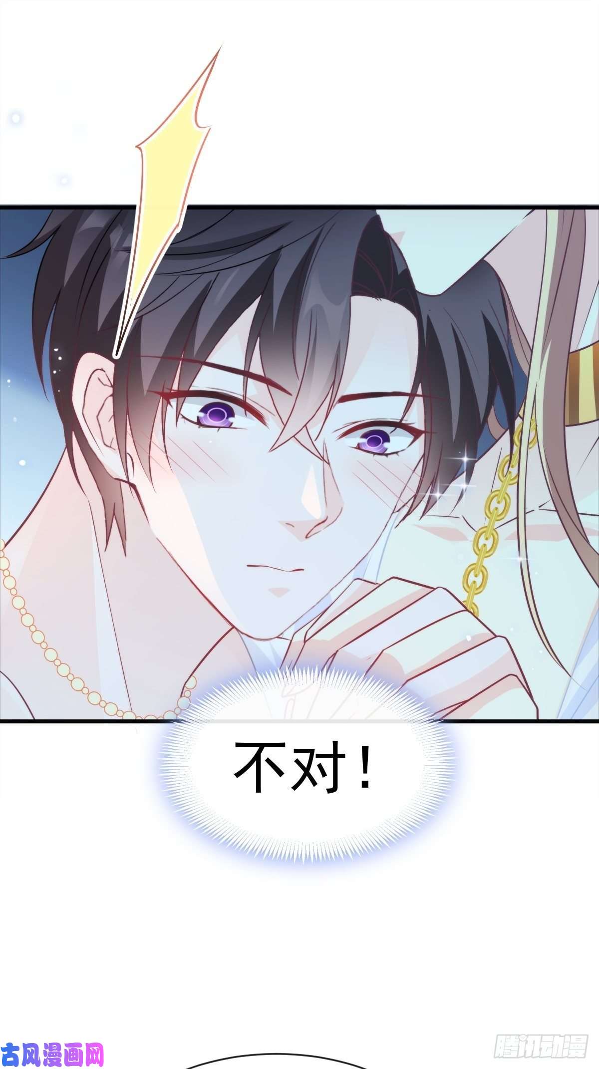 魔神的新娘079 祁湛的孩子