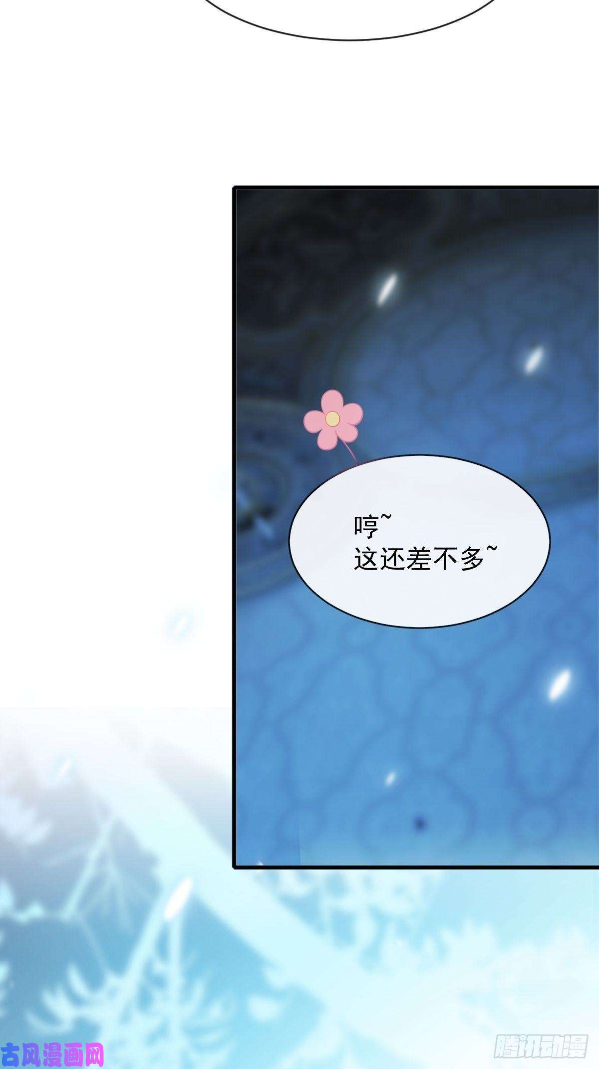 魔神的新娘079 祁湛的孩子