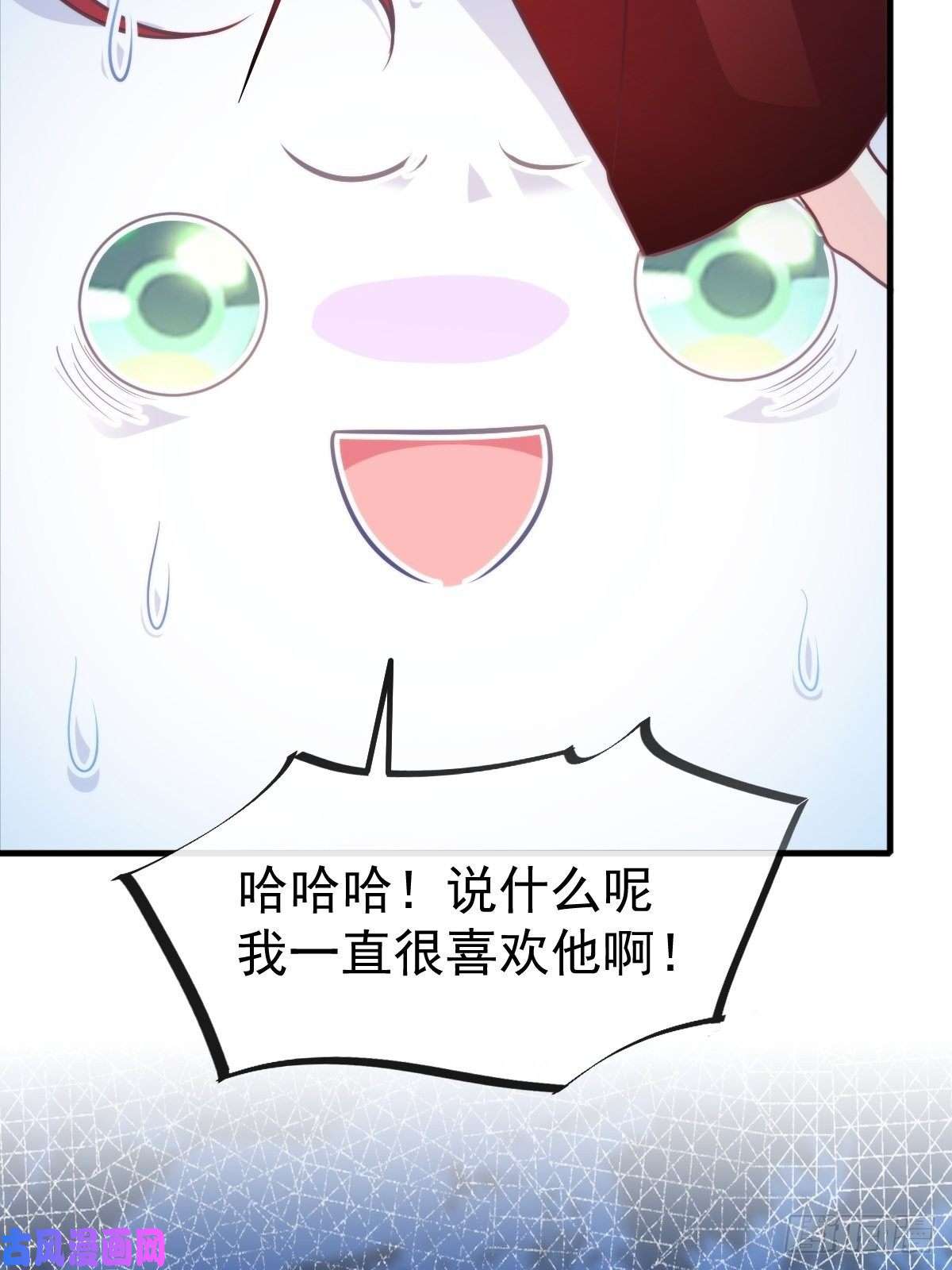 魔神的新娘079 祁湛的孩子