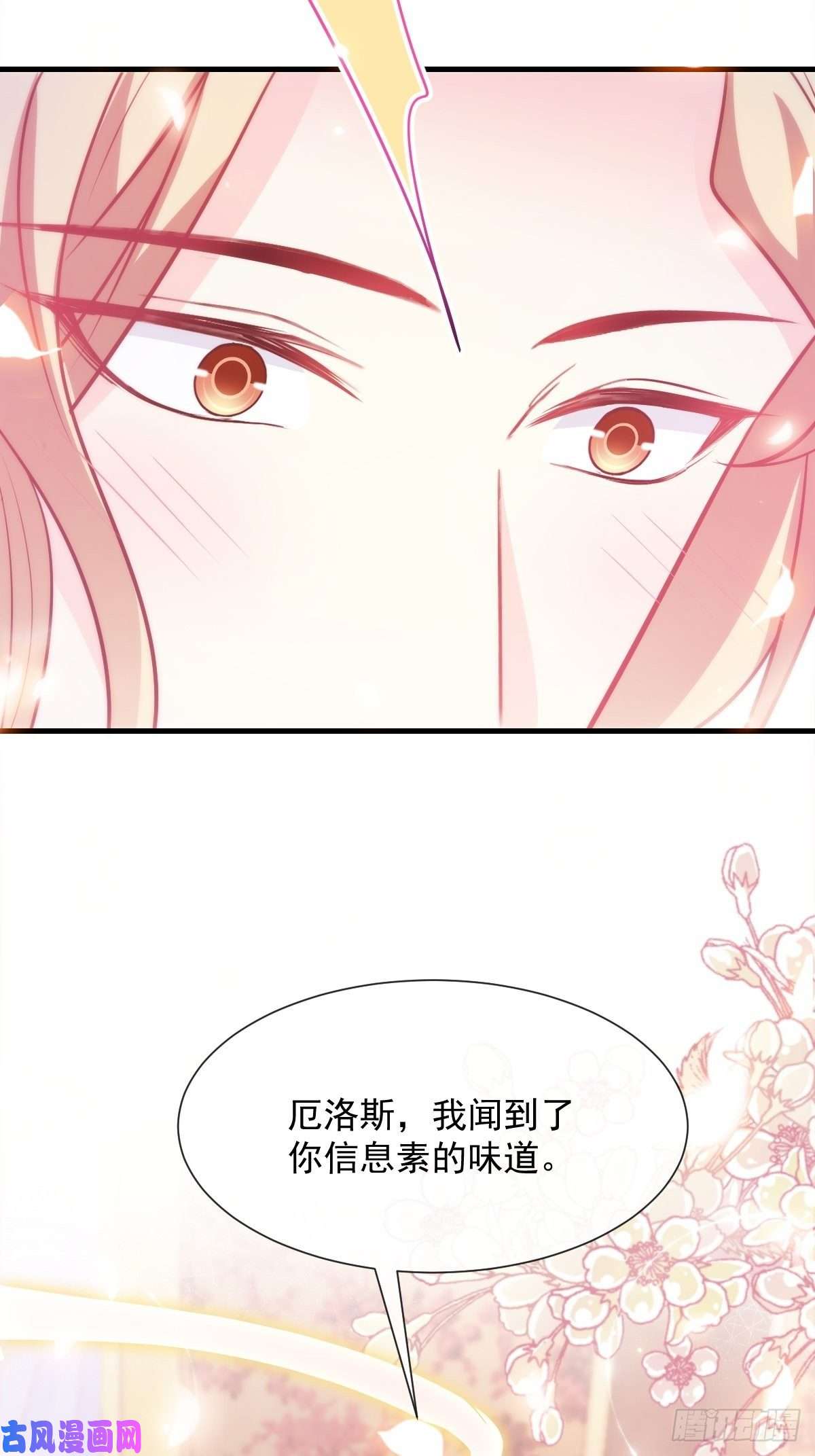 魔神的新娘100 信息素安抚