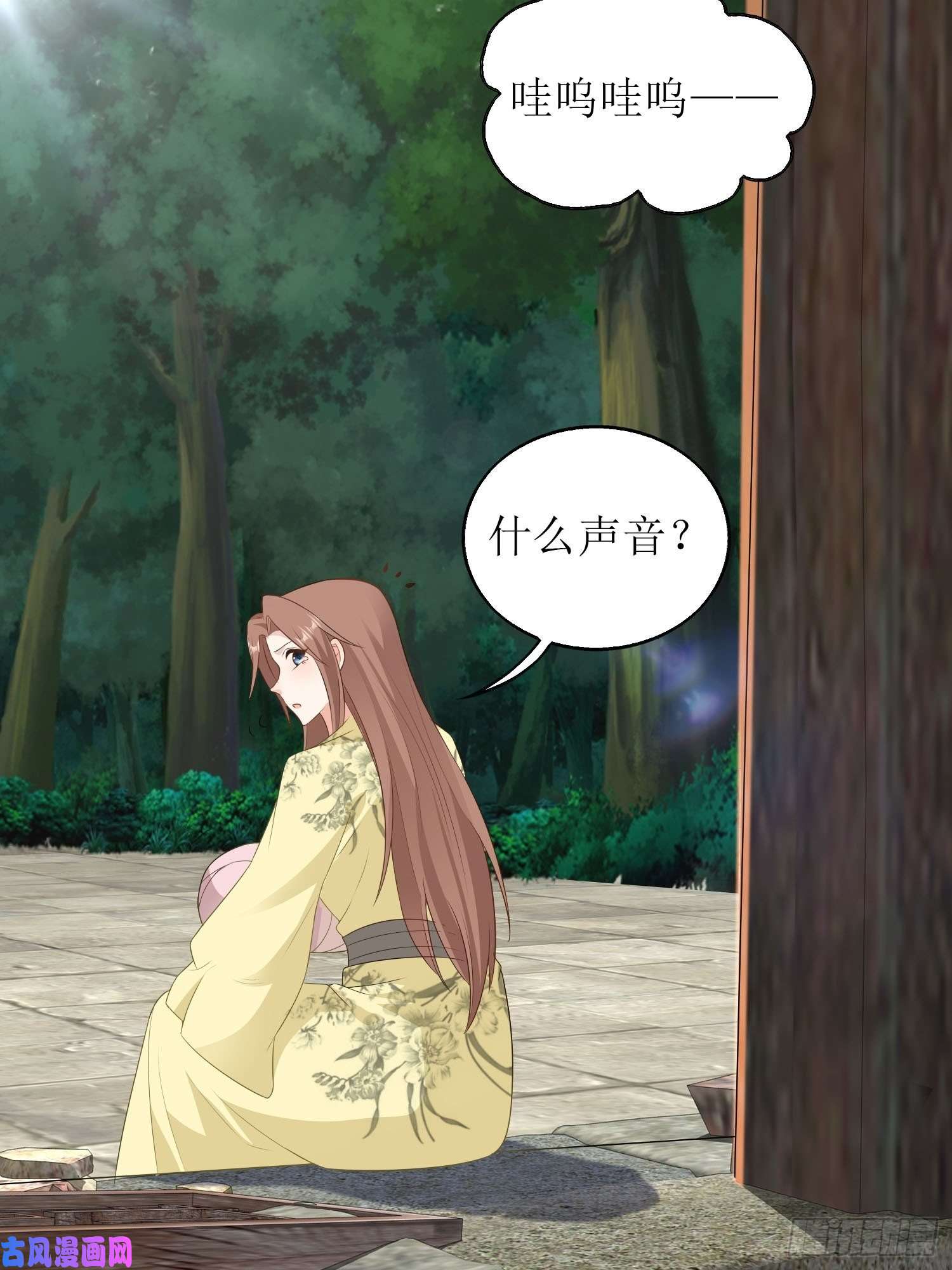这个王爷他克妻，得盘!071身世之谜