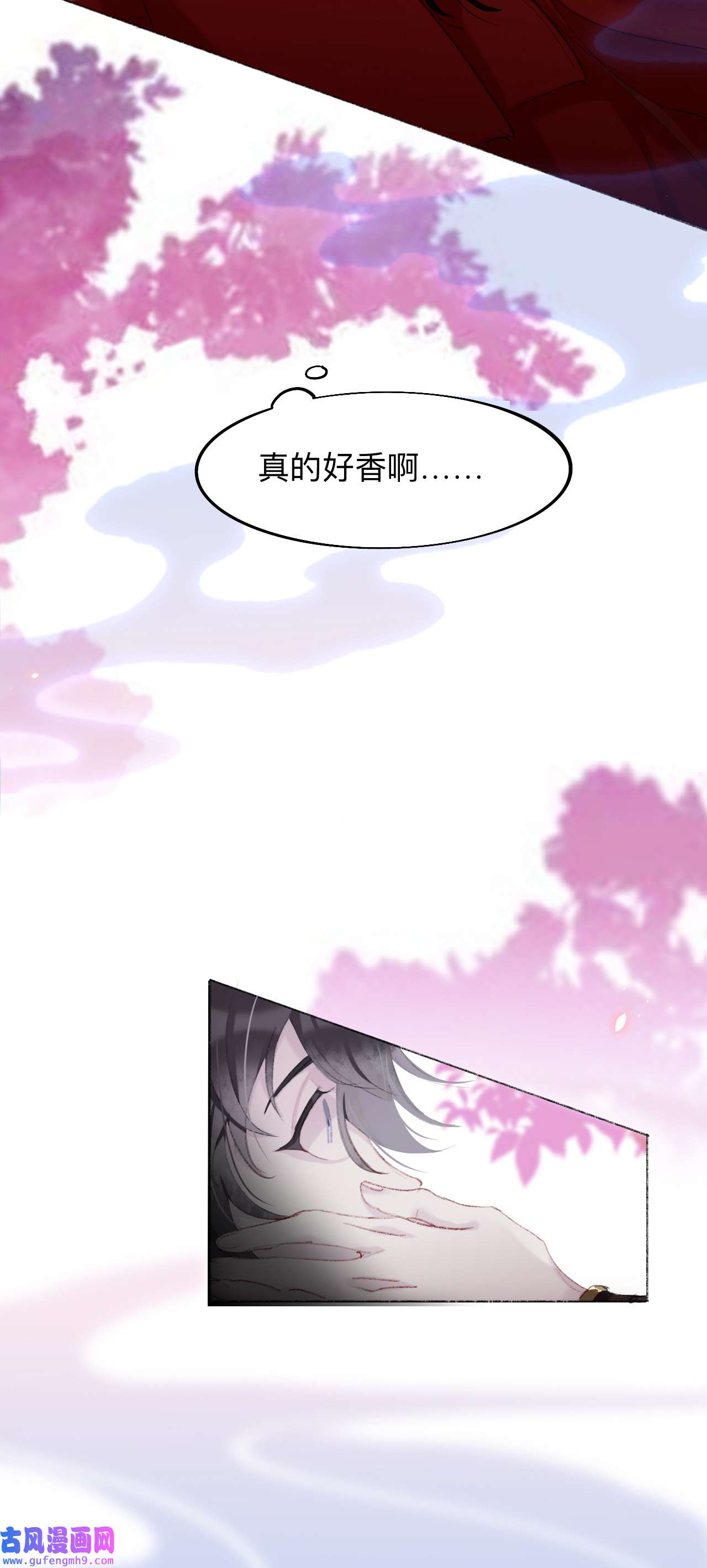 师兄别想逃6 喂饱你，是为夫应尽的义务