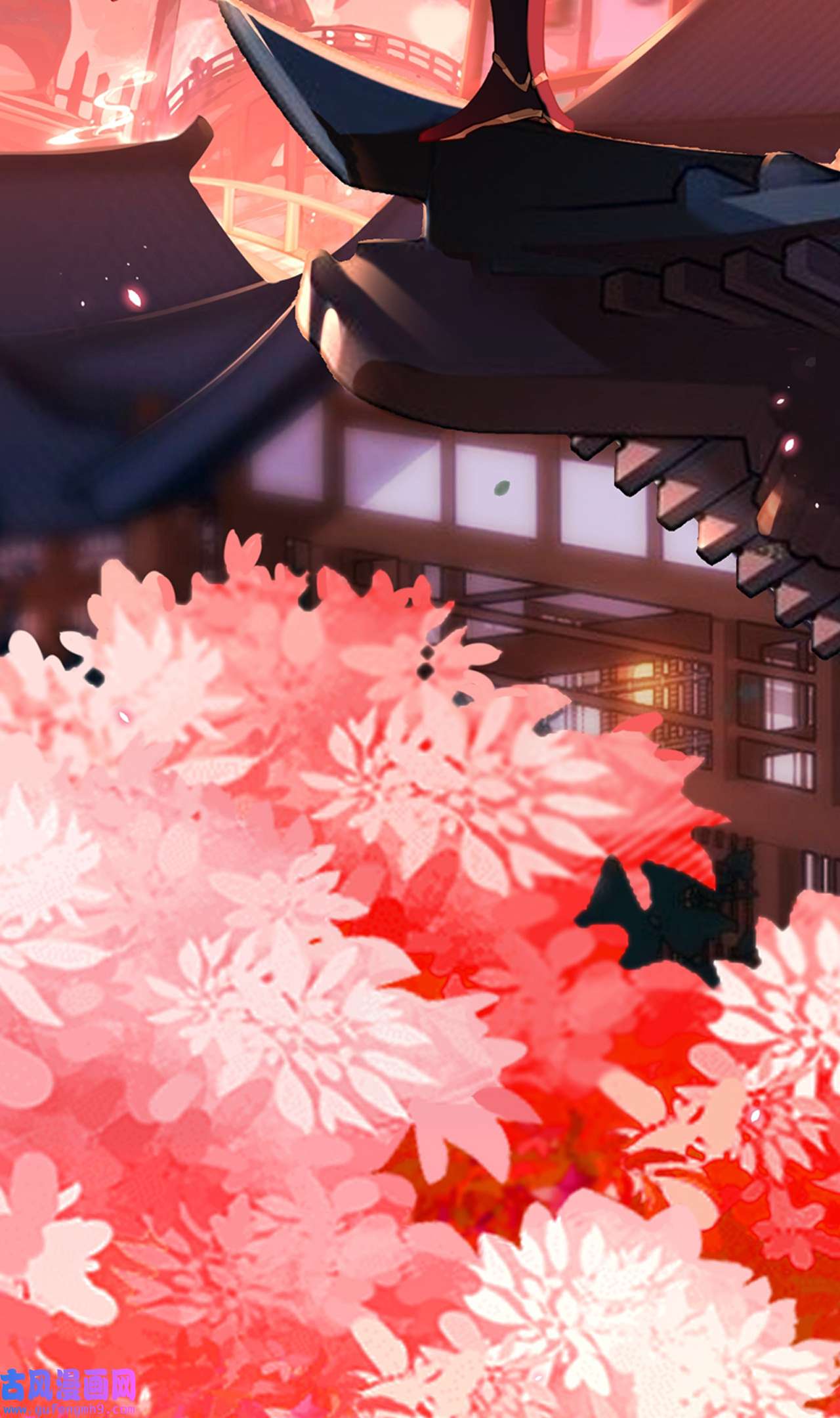 师兄别想逃26 新的客人