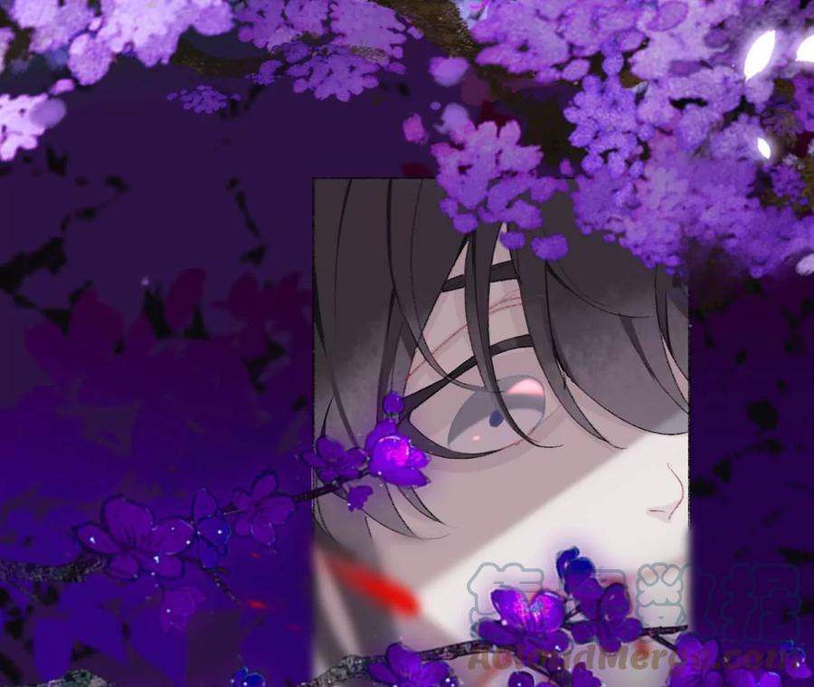 师兄别想逃穿越千年的阴谋