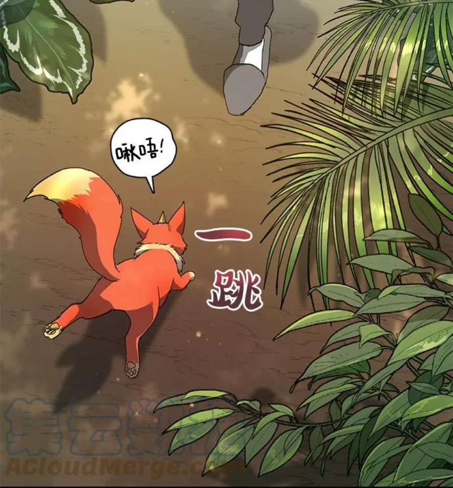 我培养的S级们第25话 不是那么用的