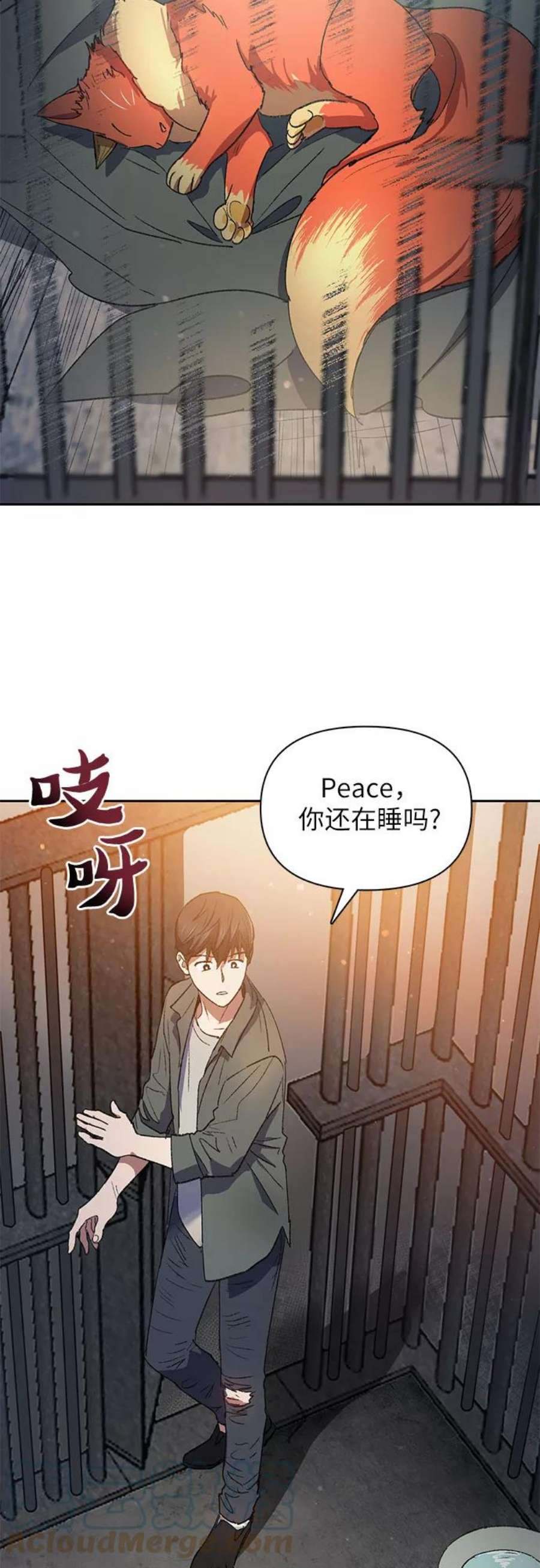 我培养的S级们第39话 这里最有经验的人