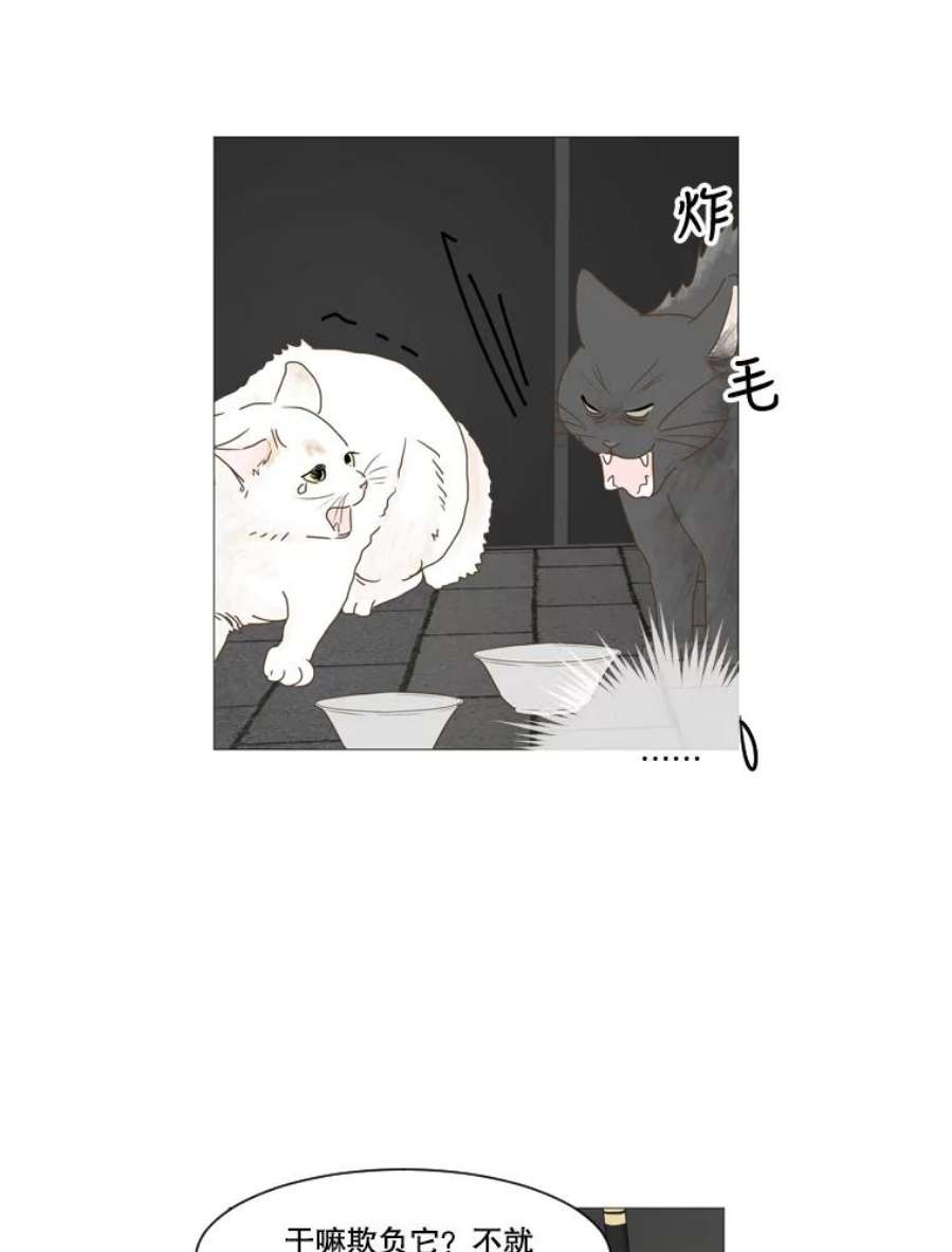 秘密关系9.从未见过的表情