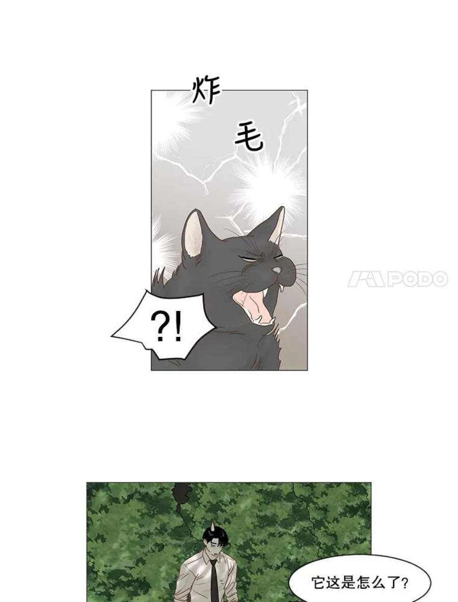 秘密关系15.成宇的邀请