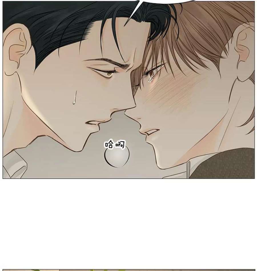 秘密关系43.爱情的模样（2）