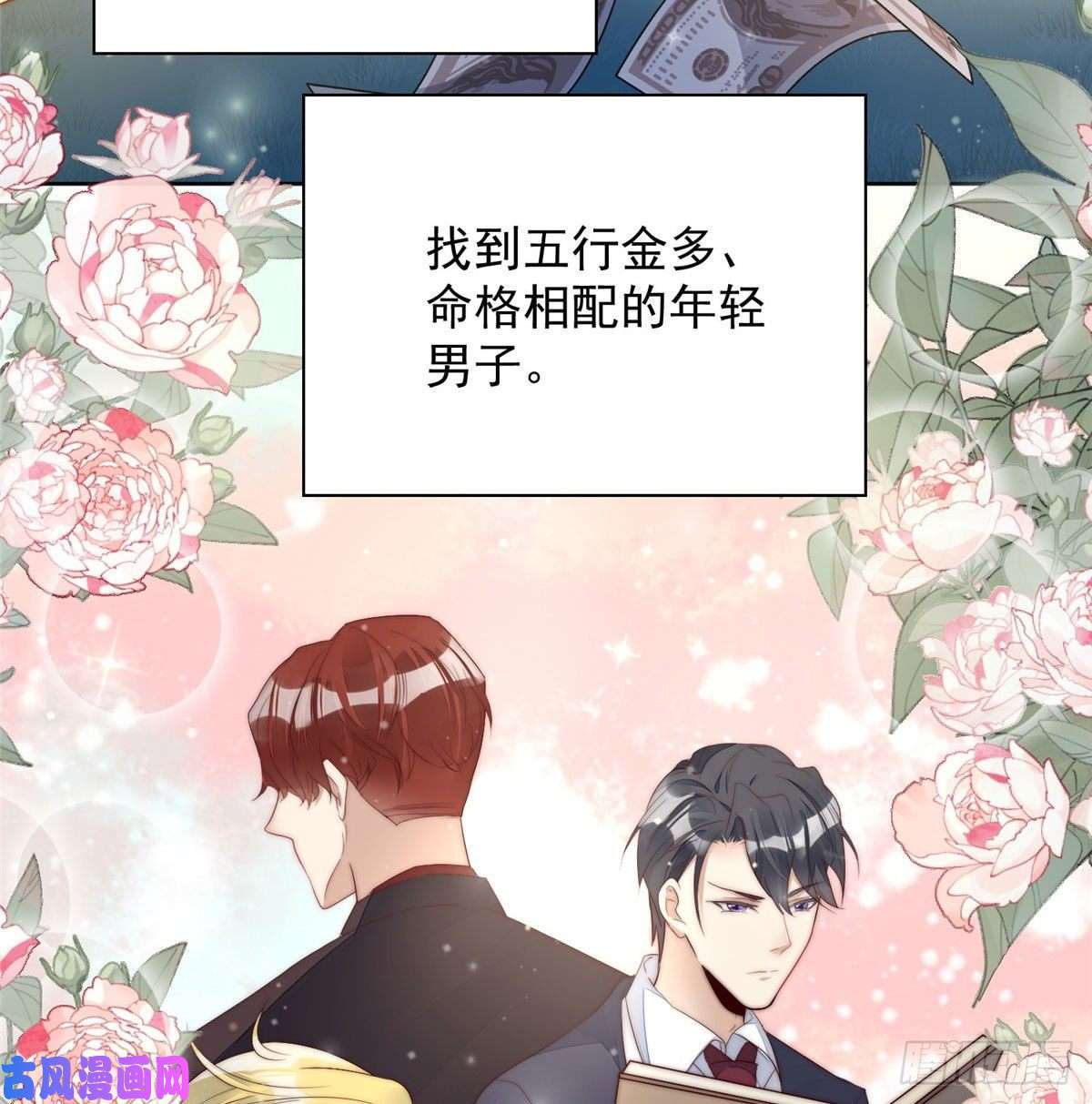 夫人她成了大佬们的团宠02 爷的画风不对