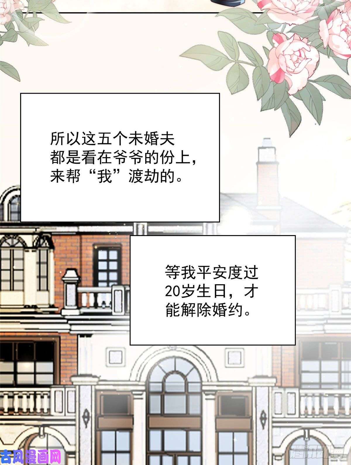 夫人她成了大佬们的团宠02 爷的画风不对