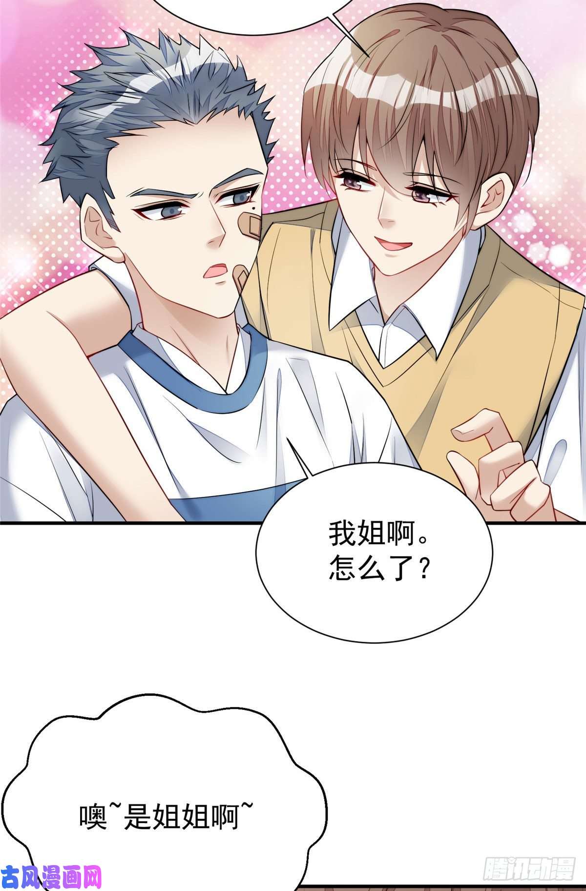 夫人她成了大佬们的团宠12 追妻火葬场