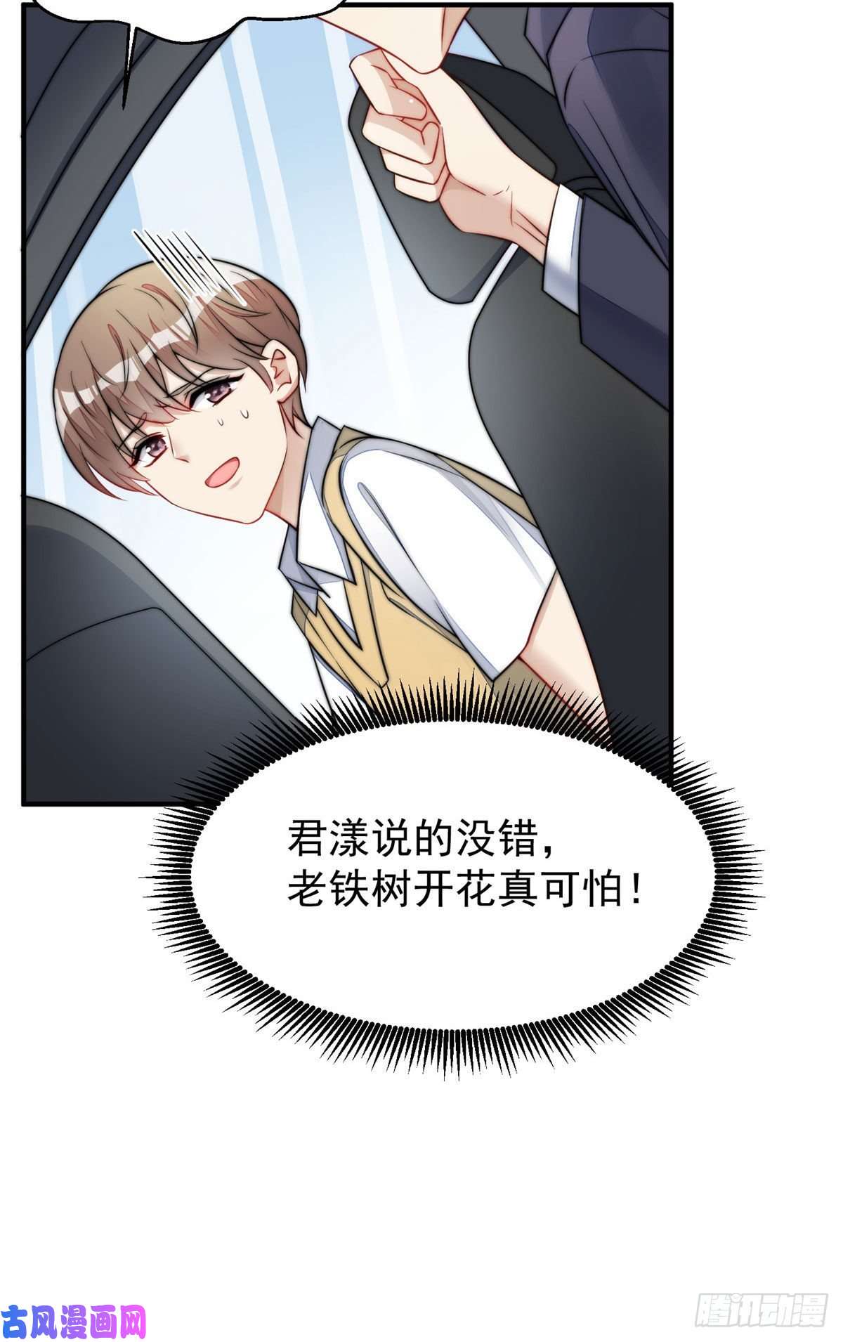 夫人她成了大佬们的团宠12 追妻火葬场