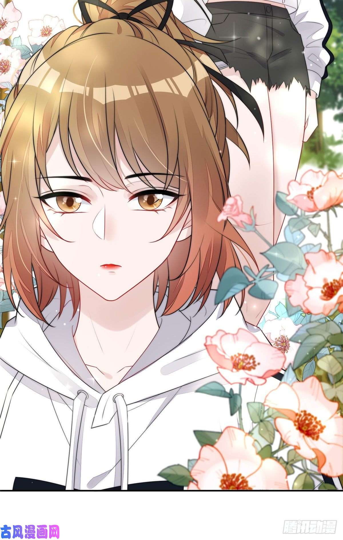 夫人她成了大佬们的团宠18 男主再次出场