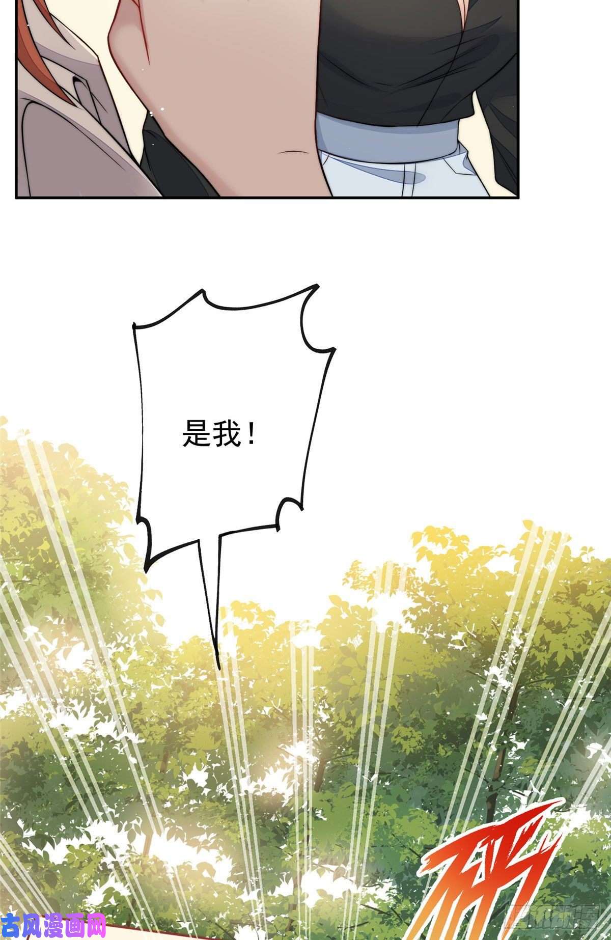 夫人她成了大佬们的团宠21 男女混合双打