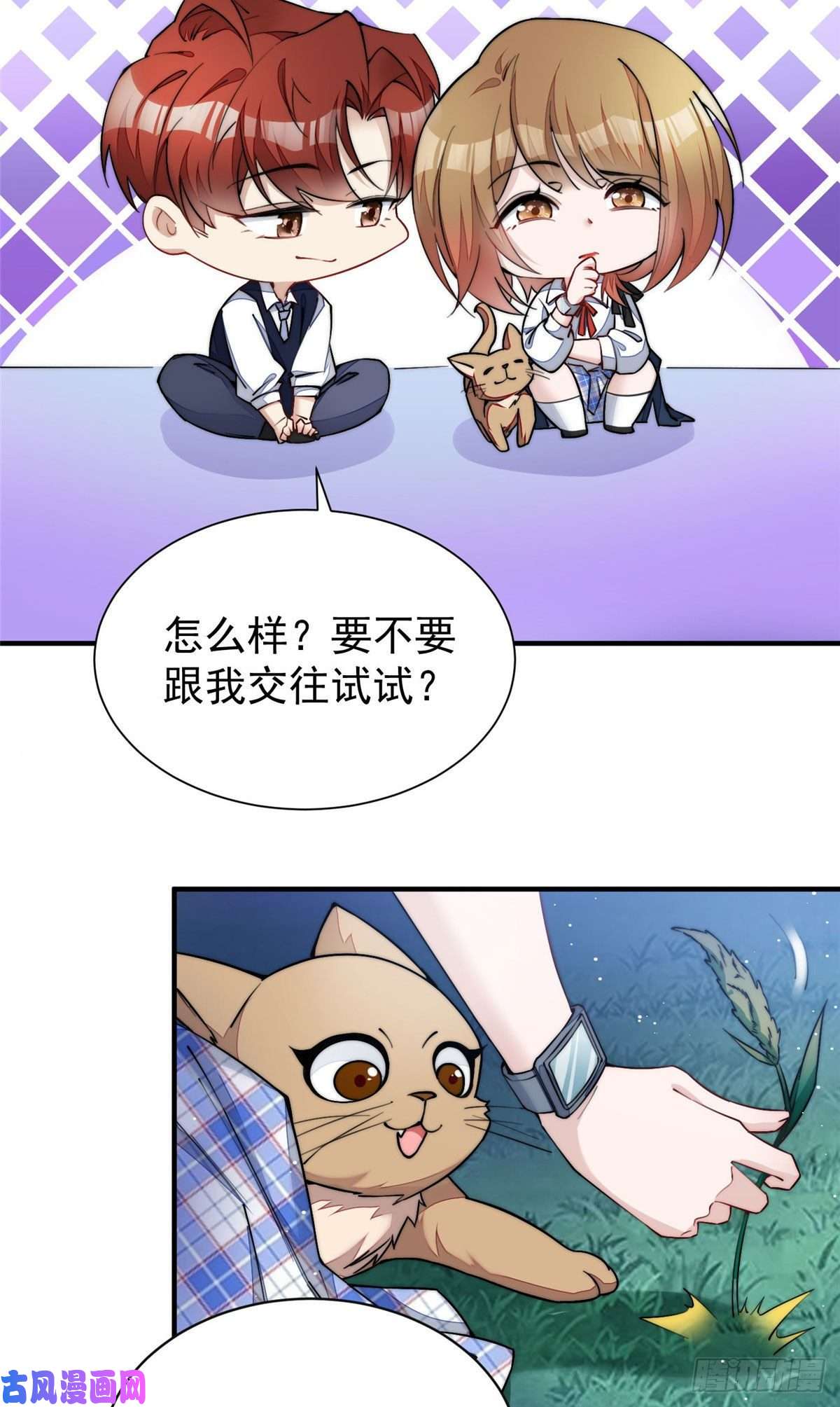 夫人她成了大佬们的团宠36 对不起我已经很低调了！
