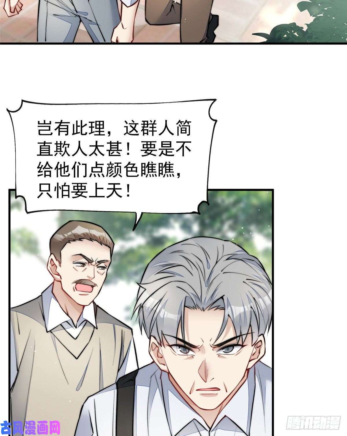 夫人她成了大佬们的团宠37 忘忧香囊