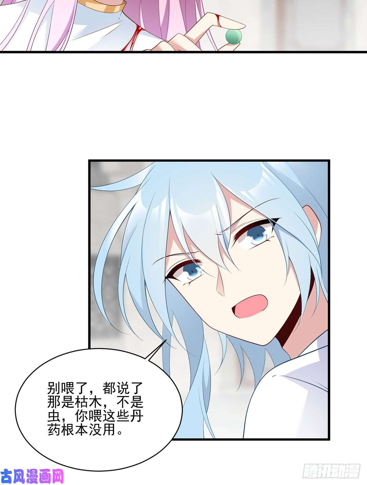 萌师在上200.黑化兔子出击！