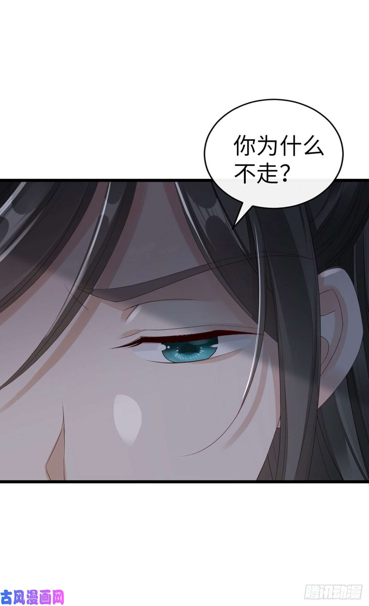 快穿之顶级反派要洗白第36话 白月的心思