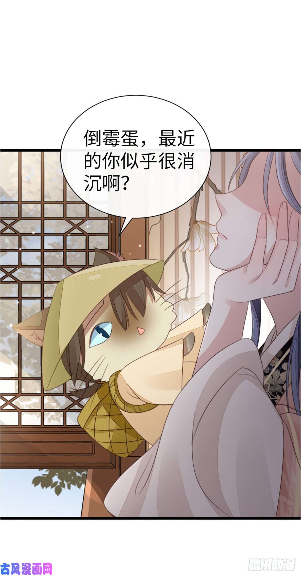 快穿之顶级反派要洗白第55话 命运