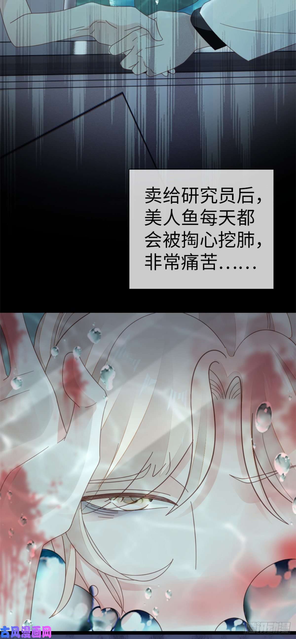 快穿之顶级反派要洗白第74话 前世今生