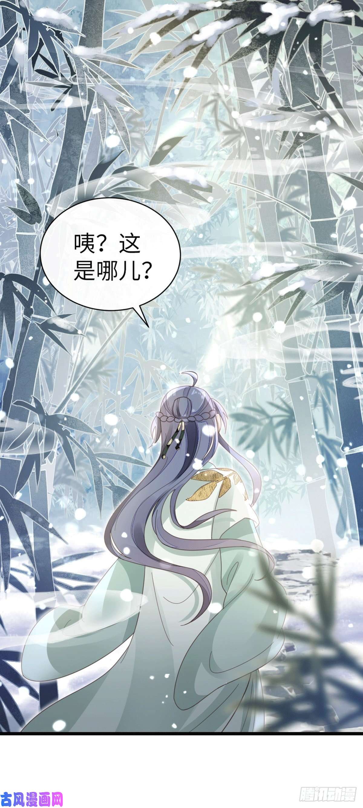 快穿之顶级反派要洗白第78话 美人似故人！