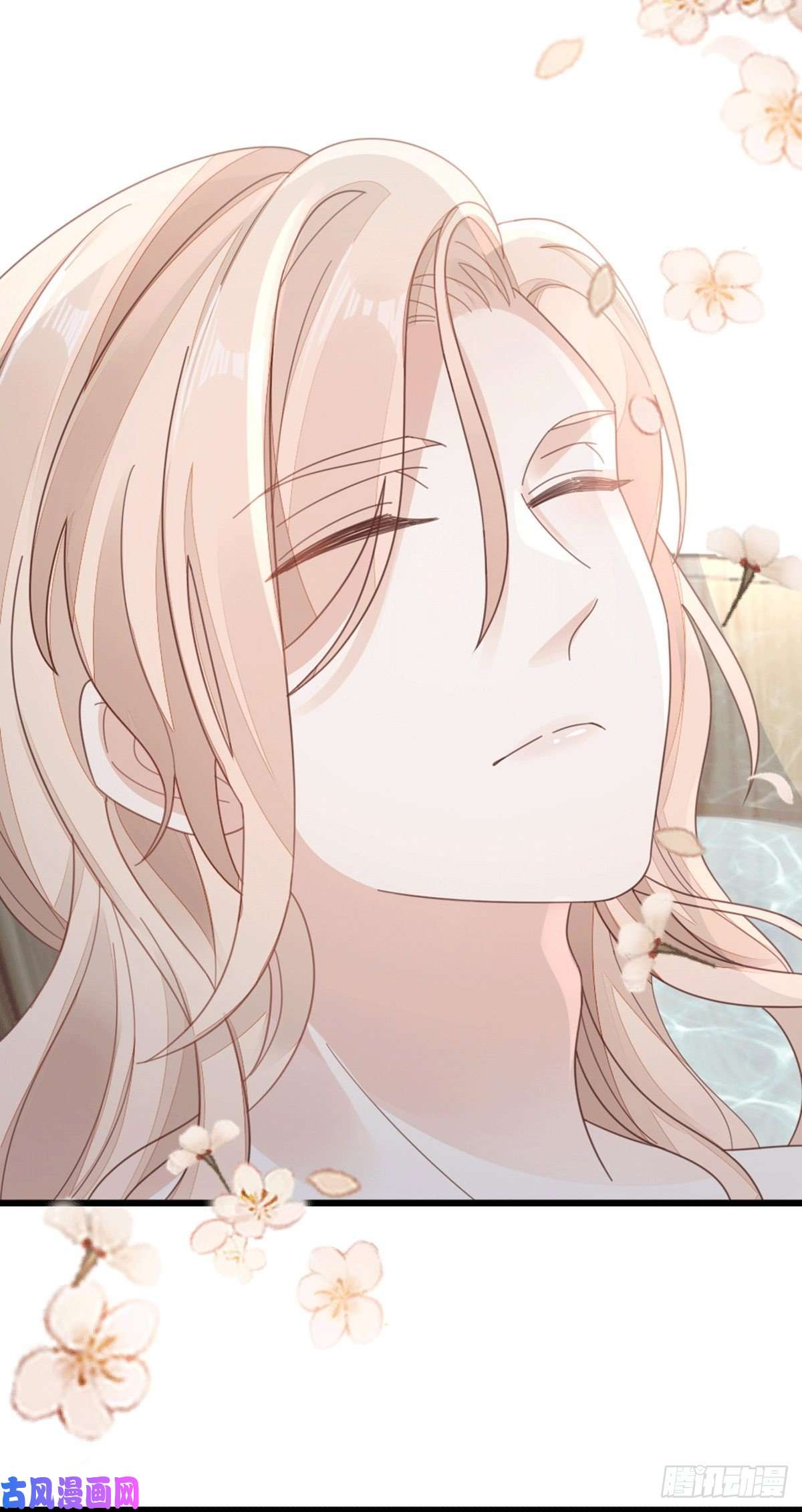 快穿之顶级反派要洗白第78话 美人似故人！