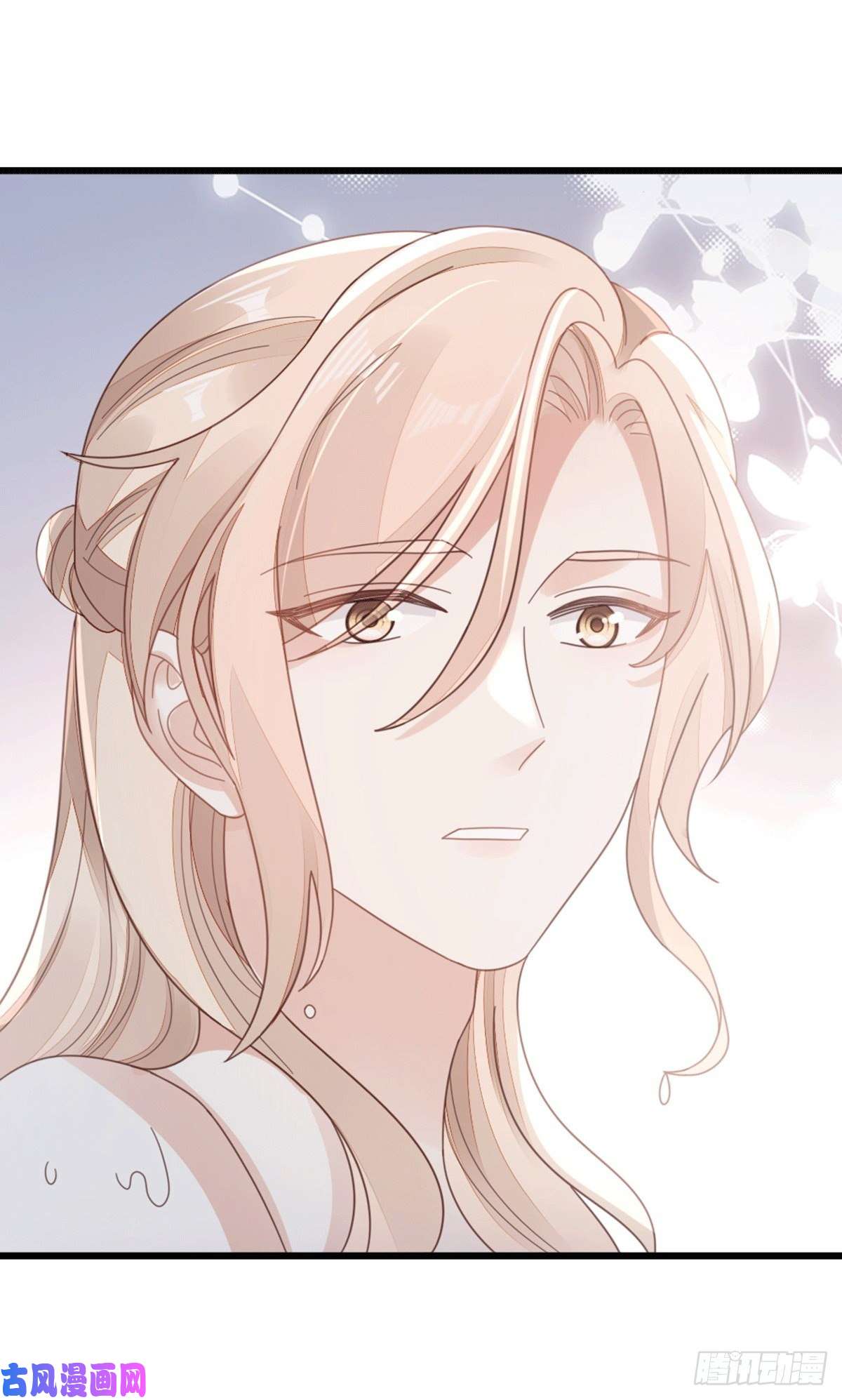 快穿之顶级反派要洗白第78话 美人似故人！