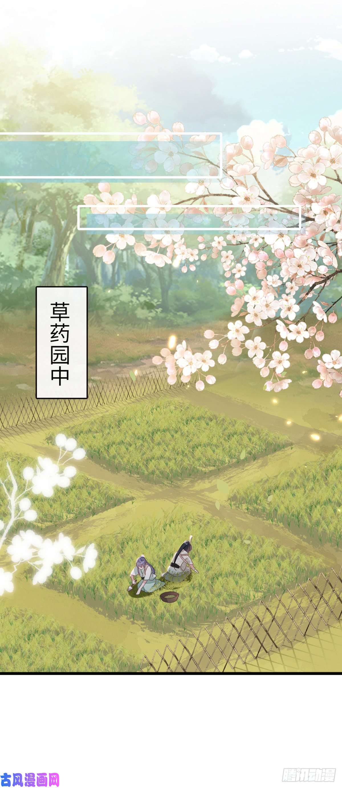 快穿之顶级反派要洗白第87话 面具
