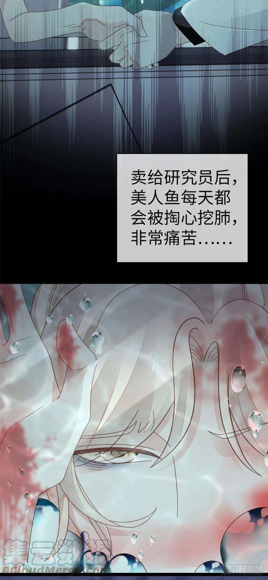 快穿之顶级反派要洗白74话 前世今生