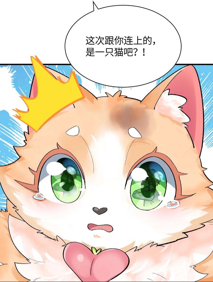 我所连接的少女，誓与她所有的镜像为敌014 新的连接已经出现