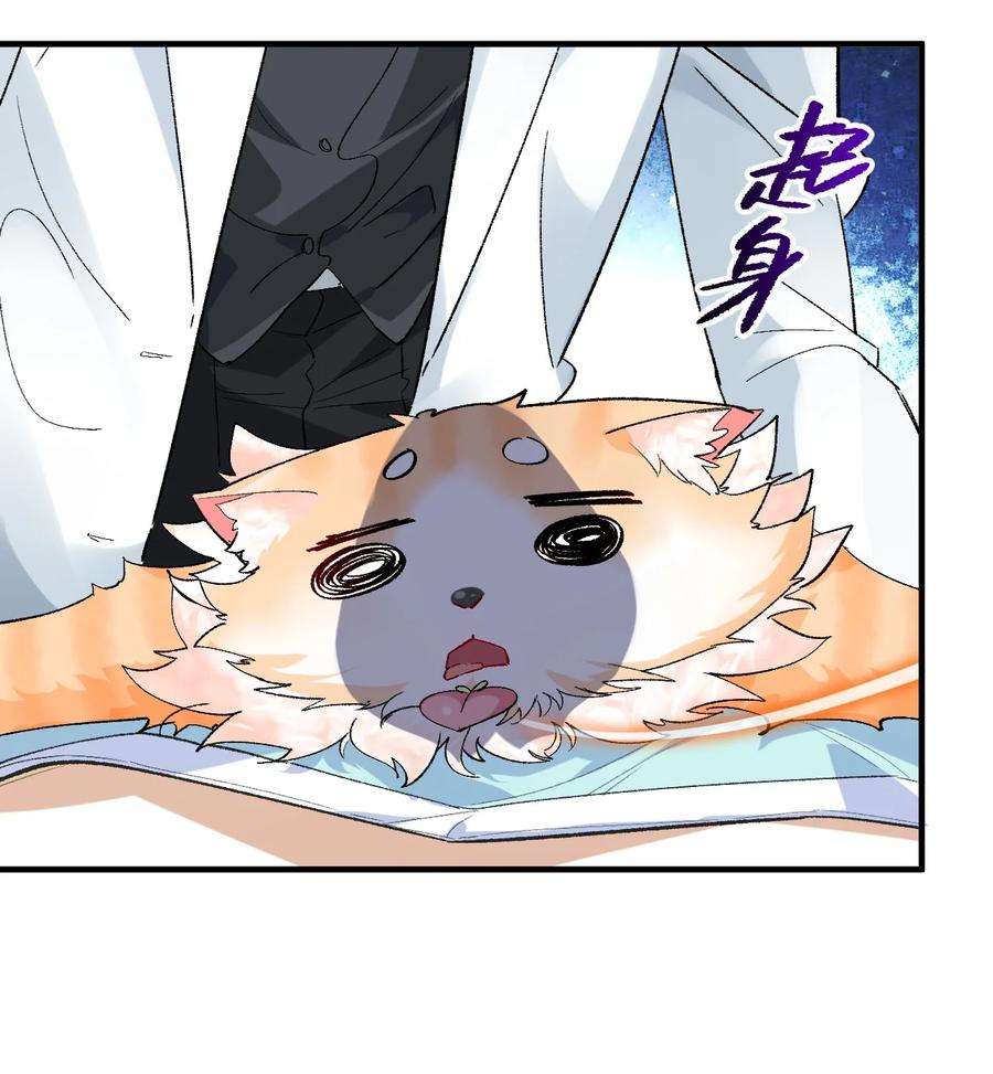 我所连接的少女，誓与她所有的镜像为敌015 救猫咪！